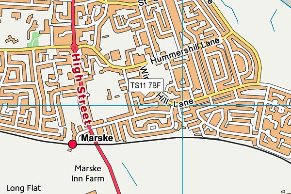 TS11 7BF map - OS VectorMap District (Ordnance Survey)