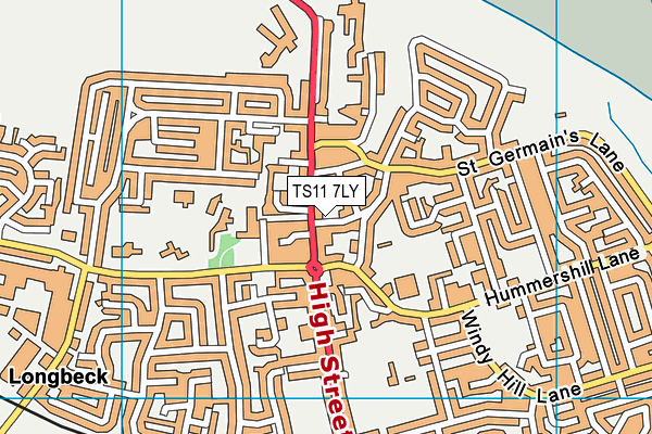 TS11 7LY map - OS VectorMap District (Ordnance Survey)