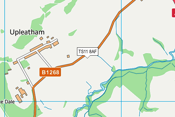 TS11 8AF map - OS VectorMap District (Ordnance Survey)