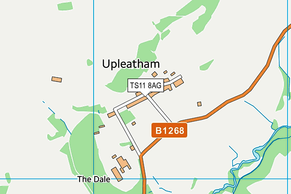 TS11 8AG map - OS VectorMap District (Ordnance Survey)