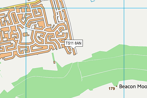 TS11 8AN map - OS VectorMap District (Ordnance Survey)