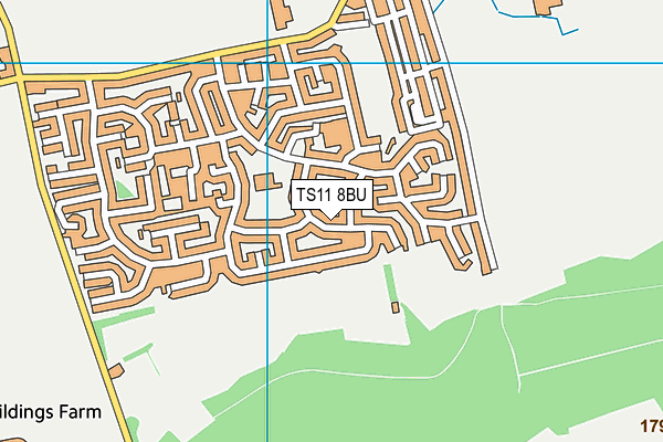 TS11 8BU map - OS VectorMap District (Ordnance Survey)