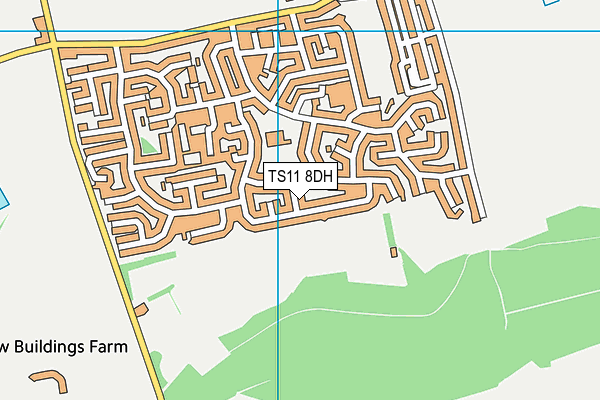 TS11 8DH map - OS VectorMap District (Ordnance Survey)