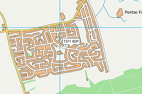 TS11 8DP map - OS VectorMap District (Ordnance Survey)