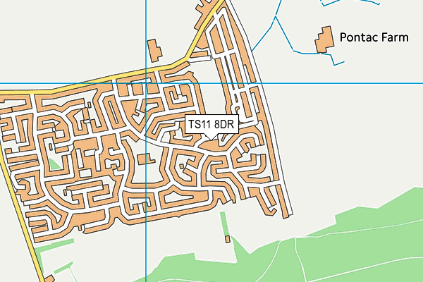 TS11 8DR map - OS VectorMap District (Ordnance Survey)