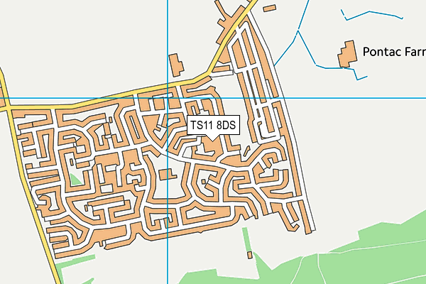 TS11 8DS map - OS VectorMap District (Ordnance Survey)