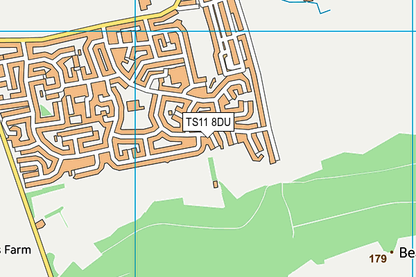 TS11 8DU map - OS VectorMap District (Ordnance Survey)