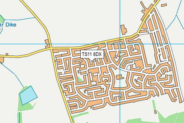 TS11 8DX map - OS VectorMap District (Ordnance Survey)