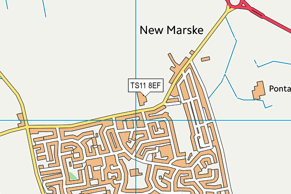 TS11 8EF map - OS VectorMap District (Ordnance Survey)