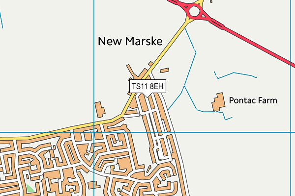 TS11 8EH map - OS VectorMap District (Ordnance Survey)