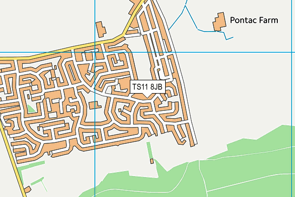 TS11 8JB map - OS VectorMap District (Ordnance Survey)