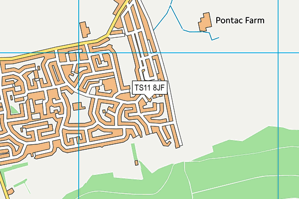 TS11 8JF map - OS VectorMap District (Ordnance Survey)