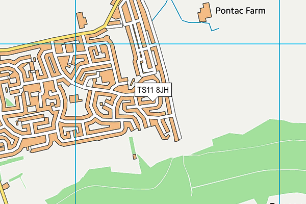 TS11 8JH map - OS VectorMap District (Ordnance Survey)