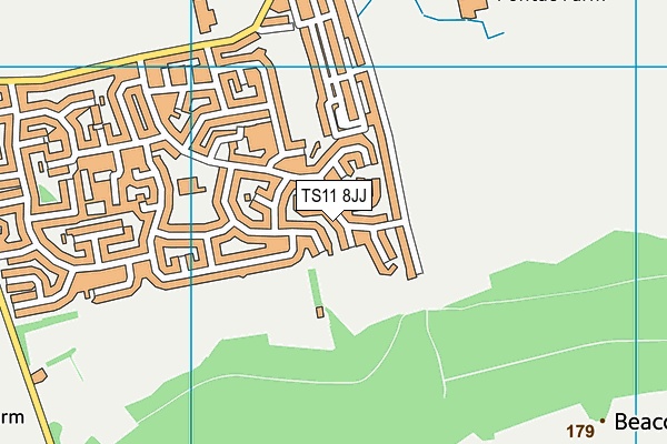 TS11 8JJ map - OS VectorMap District (Ordnance Survey)