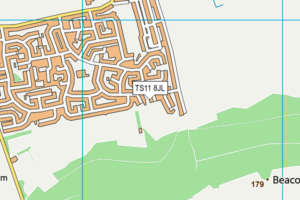 TS11 8JL map - OS VectorMap District (Ordnance Survey)