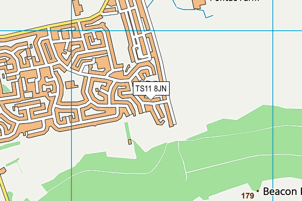 TS11 8JN map - OS VectorMap District (Ordnance Survey)