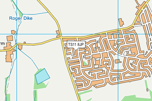 TS11 8JP map - OS VectorMap District (Ordnance Survey)