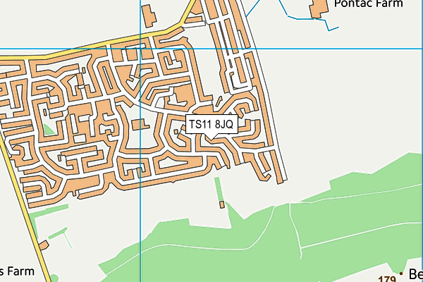 TS11 8JQ map - OS VectorMap District (Ordnance Survey)