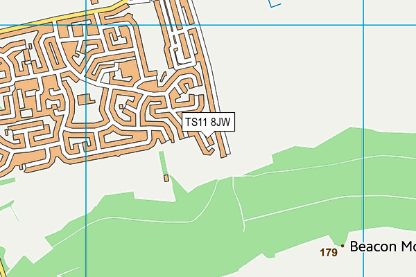 TS11 8JW map - OS VectorMap District (Ordnance Survey)