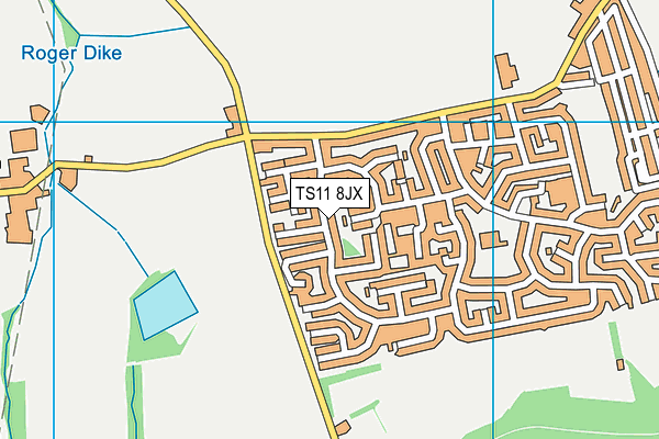 TS11 8JX map - OS VectorMap District (Ordnance Survey)