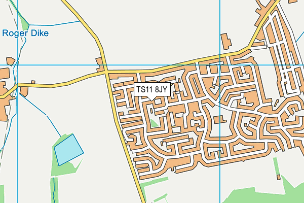 TS11 8JY map - OS VectorMap District (Ordnance Survey)