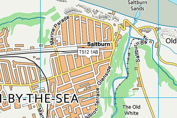 TS12 1AB map - OS VectorMap District (Ordnance Survey)