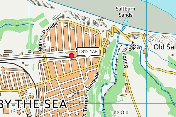 TS12 1AH map - OS VectorMap District (Ordnance Survey)