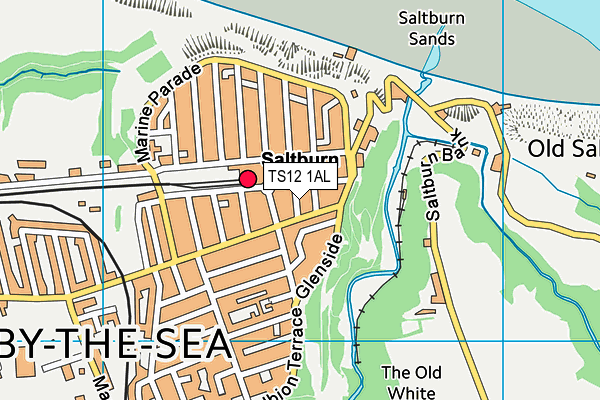 TS12 1AL map - OS VectorMap District (Ordnance Survey)
