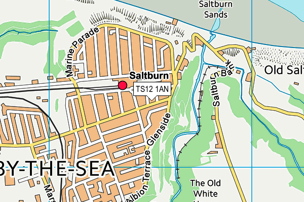 TS12 1AN map - OS VectorMap District (Ordnance Survey)