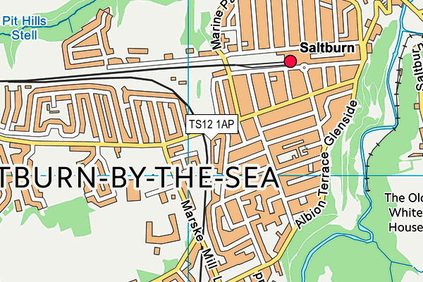 TS12 1AP map - OS VectorMap District (Ordnance Survey)