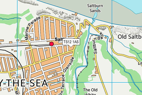 TS12 1AS map - OS VectorMap District (Ordnance Survey)