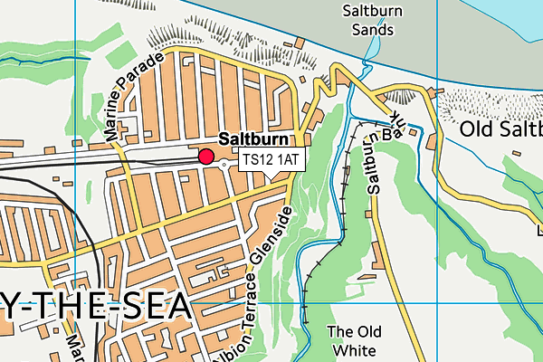 TS12 1AT map - OS VectorMap District (Ordnance Survey)