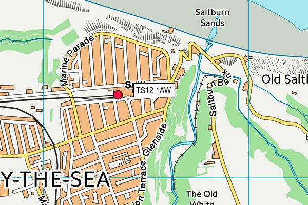 TS12 1AW map - OS VectorMap District (Ordnance Survey)