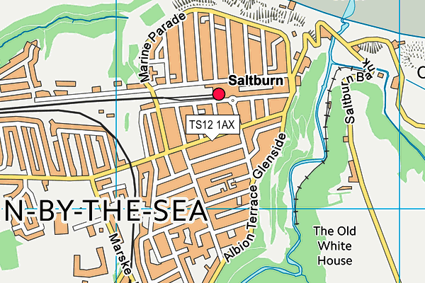 TS12 1AX map - OS VectorMap District (Ordnance Survey)