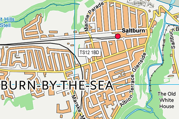 TS12 1BD map - OS VectorMap District (Ordnance Survey)