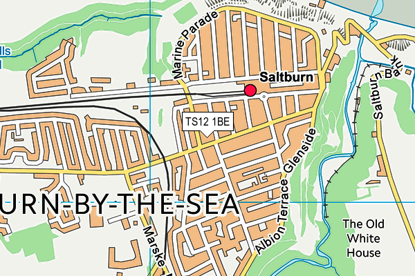 TS12 1BE map - OS VectorMap District (Ordnance Survey)