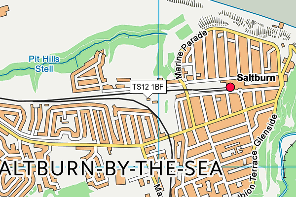 TS12 1BF map - OS VectorMap District (Ordnance Survey)