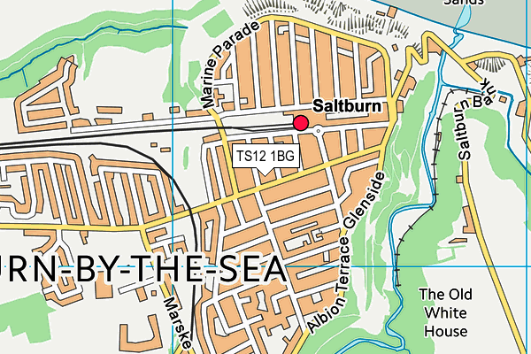 TS12 1BG map - OS VectorMap District (Ordnance Survey)