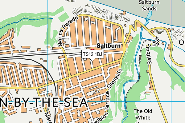 TS12 1BJ map - OS VectorMap District (Ordnance Survey)