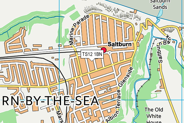 TS12 1BN map - OS VectorMap District (Ordnance Survey)