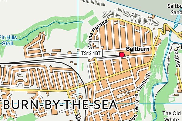 TS12 1BT map - OS VectorMap District (Ordnance Survey)