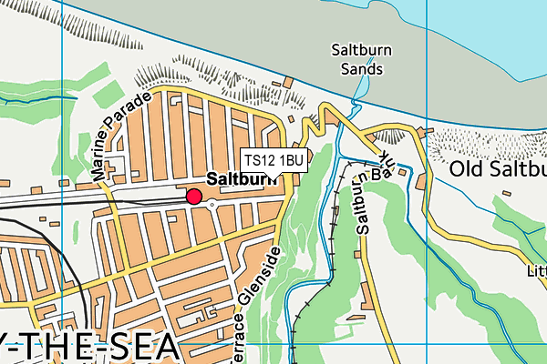 TS12 1BU map - OS VectorMap District (Ordnance Survey)