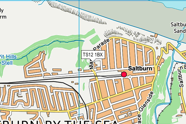 TS12 1BX map - OS VectorMap District (Ordnance Survey)