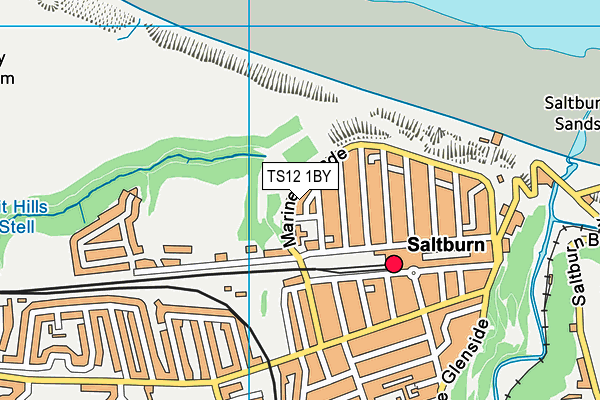 TS12 1BY map - OS VectorMap District (Ordnance Survey)