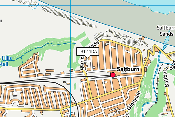 TS12 1DA map - OS VectorMap District (Ordnance Survey)