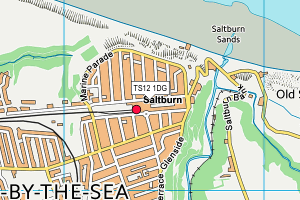 TS12 1DG map - OS VectorMap District (Ordnance Survey)