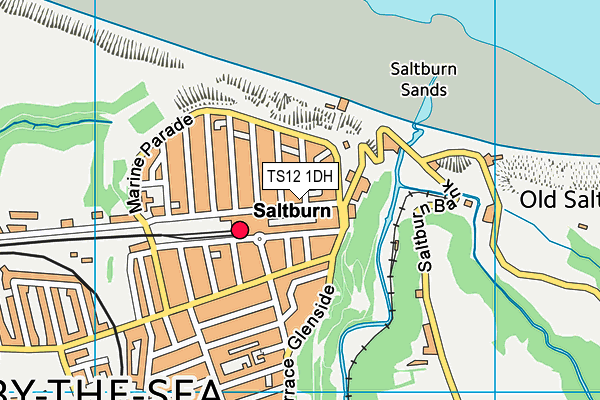 Map of SALTBURN FOOD LTD at district scale