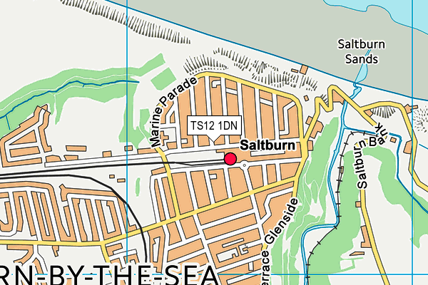 TS12 1DN map - OS VectorMap District (Ordnance Survey)