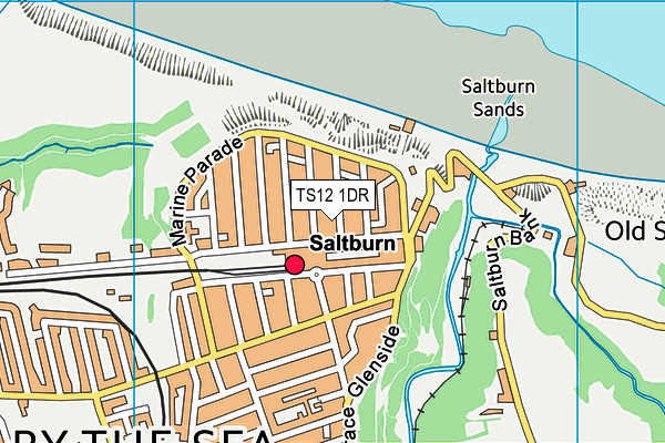 TS12 1DR map - OS VectorMap District (Ordnance Survey)