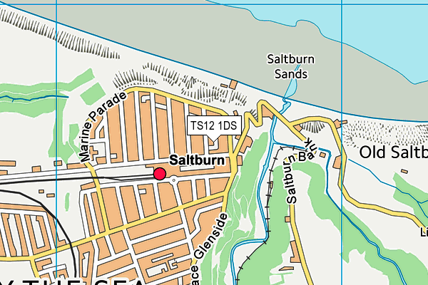 TS12 1DS map - OS VectorMap District (Ordnance Survey)